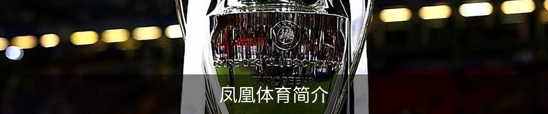 凤凰体育简介